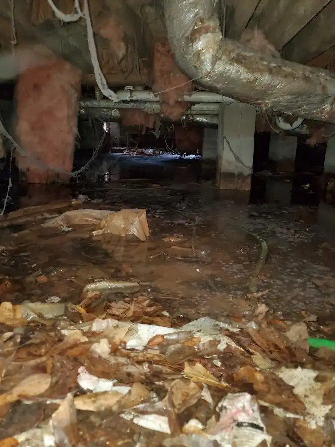 Crawl space flood assessment for Leak Detection & Repair in Port Lavaca